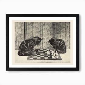 Chess Playing Kittens Photograph, Sarah J Eddy Art Print