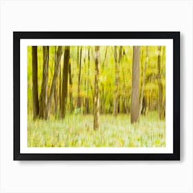 Forest In The Fall Art Print