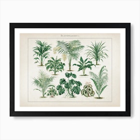 Garden Botanical by House The Art - Glass Print Fy