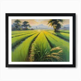 Rice Field Art Print