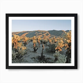 California Cholla Cactus Art Print