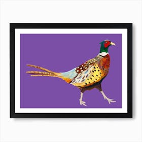 Pheasant on Purple Art Print