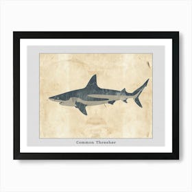 Common Thresher Shark Silhouette 3 Poster Art Print