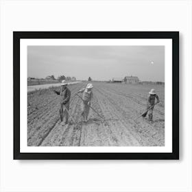 New Madrid County, Missouri, Sharecropper Family Cultivating Cotton, Southeast Missouri Farms By Russell Art Print