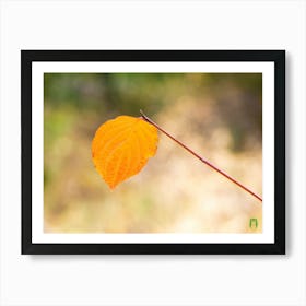 Autumn Leaf 20210101 134ppub Art Print