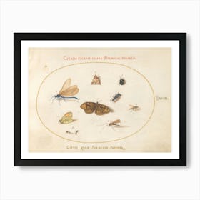 Two Butterflies And A Moth With A Dragonfly, Two Ants, And Four Other Insects, Joris Hoefnagel Art Print