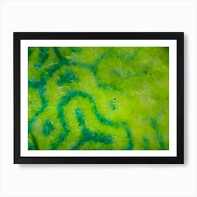 Abstract Green Pattern Fabric Texture On Israeli Money Bill Of 50 Shekel Under The Microscope 2 Art Print