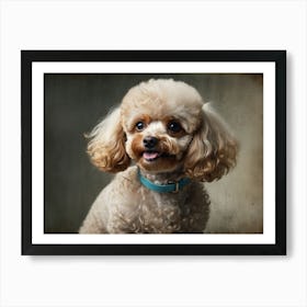 Portrait Of A Poodle 1 Poster