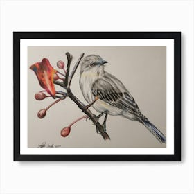 Bird Perched On A Branch Art Print