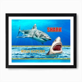 Shark Wild Nature Poster Art Print