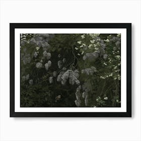 Wisteria 2 Art Print