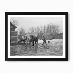 Taking Horses To The Barn, Roy Merriot Farm Near Estherville, Iowa By Russell Lee Art Print