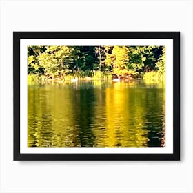 Swans In A Lake Art Print