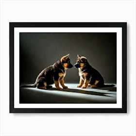 German Shepherd Puppies Poster