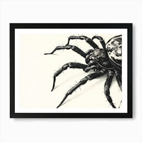 Black And White Spider Art Print