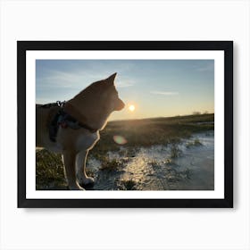 Sunset Dog 1 Art Print