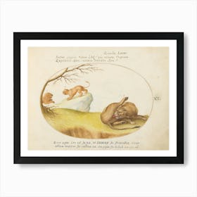 Quadervpedia Animals And Reptiles, Joris Hoefnagel (3) 1 Art Print