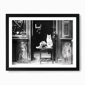 Cats Wearing Sunglasses in Front Of Shop, Vintage Black and White Old Photo Art Print