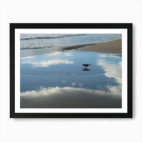 Bird and reflections on the beach Art Print