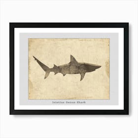 Isistius Genus Shark Silhouette 1 Poster Art Print