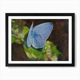 Butterfly Art Print