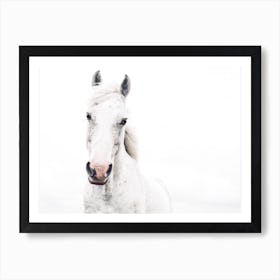 White Horse Art Print