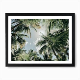 Tropical Vibe On The Dominican Republic Art Print