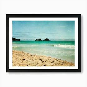 Hawaiian Beach 3 Art Print