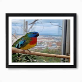 Multicolor bird Art Print