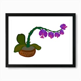 Orchid In A Pot Art Print