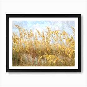 Sea Oats Illustration Art Print