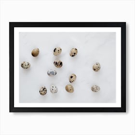 Quail Eggs 17 Art Print