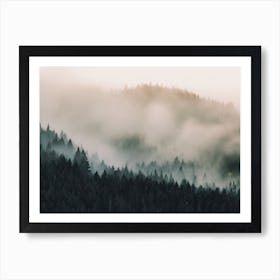 Morning Forest Fog Art Print