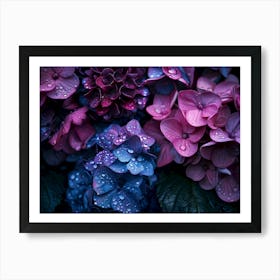 Purple Hydrangeas Art Print