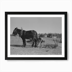 Untitled Photo, Possibly Related To Son Of Pomp Hall, Tenant Farmer, Going To Work The Field With A Spike Tooth Harrow Art Print