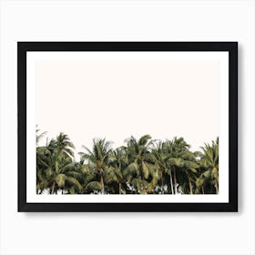 Coastal Palms Art Print