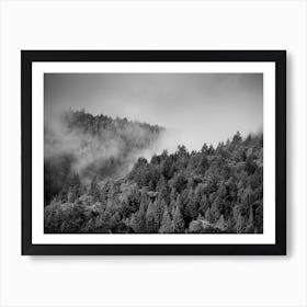 Foggy Pines Art Print