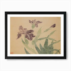 Chinese Iris Art Print