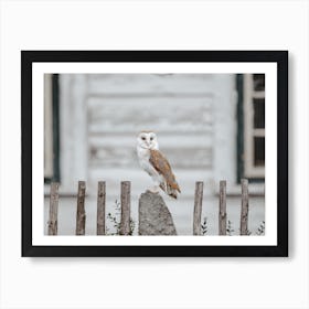 Farmhouse Barn Owl Art Print