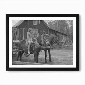 Girl Astride Mule, Farm Near Northome, Minnesota By Russell Lee 1 Art Print