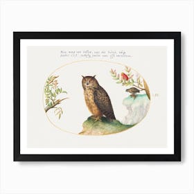 Owl With A Second In The Distance Eating A Rabbit (1575–1580), Joris Hoefnagel Art Print