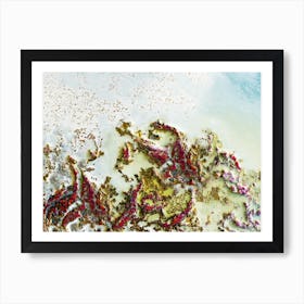 Coral Labyrinth Art Print