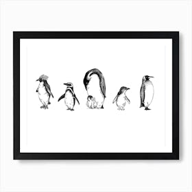 Penguin Line Up Art Print