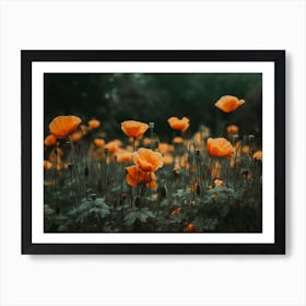 Orange Poppy Art Print