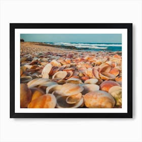 Sea Shells On The Beach 3 Art Print