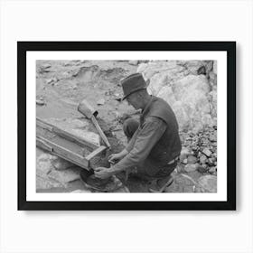 Prospector Removing Wire Screen From Bottom Of Sluice Box, This Screen Catches The Gold As The Water Washes Art Print