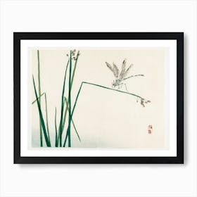 Dragonfly On Bulrush Leaf, Kōno Bairei Art Print