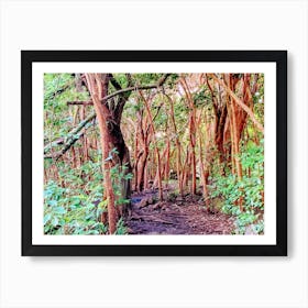 Hawaiian Forest (Maui Series) Art Print