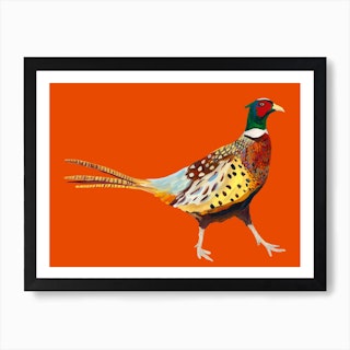 Pheasant on Orange Art Print