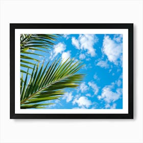 Palm Tree Against Blue Sky 7 Art Print